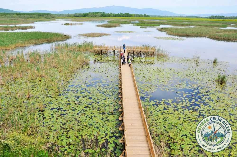 Efteni Gölü Kuş Cenneti · Gölyaka · Düzce · Türkiye · fotoğraf 7