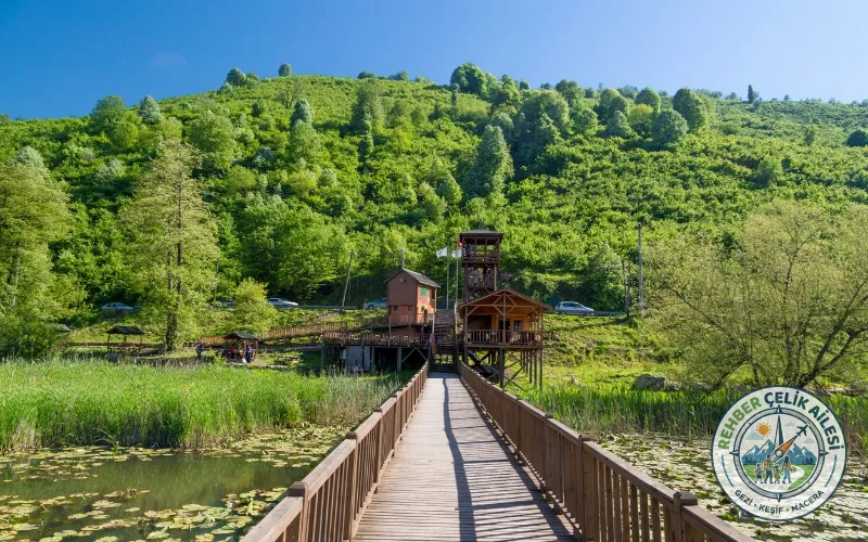 Efteni Gölü Kuş Cenneti · Gölyaka · Düzce · Türkiye · fotoğraf 6