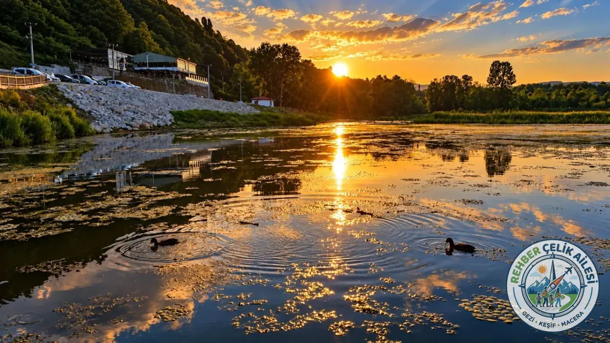 Efteni Gölü Kuş Cenneti · Gölyaka · Düzce · Türkiye · fotoğraf 2