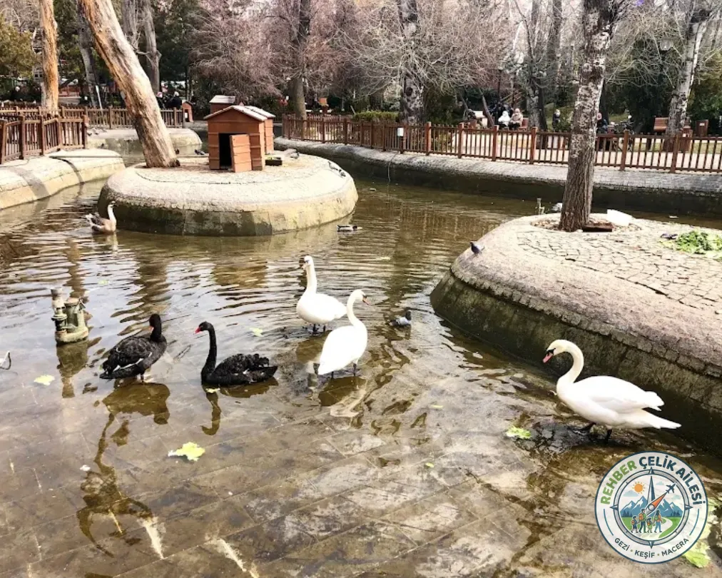 Kuğulu Park · Çankaya · Ankara · Türkiye · fotoğraf 12