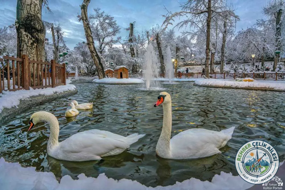 Kuğulu Park · Çankaya · Ankara · Türkiye · fotoğraf 11