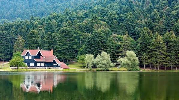 Abant Gölü Milli Parkı · Merkez · Bolu · Türkiye · fotoğraf 4