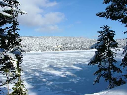 Abant Gölü Milli Parkı · Merkez · Bolu · Türkiye · fotoğraf 8