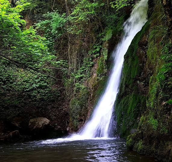 Aydınpınar Şelaleleri Tabiat Parkı · Merkez · Düzce · Türkiye · fotoğraf 4