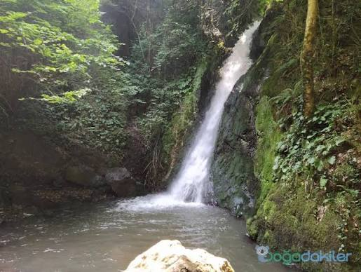 Aydınpınar Şelaleleri Tabiat Parkı · Merkez · Düzce · Türkiye · fotoğraf 8