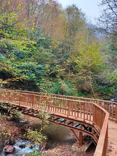 Aydınpınar Şelaleleri Tabiat Parkı · Merkez · Düzce · Türkiye · fotoğraf 9