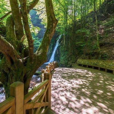 Aydınpınar Şelaleleri Tabiat Parkı · Merkez · Düzce · Türkiye · fotoğraf 11