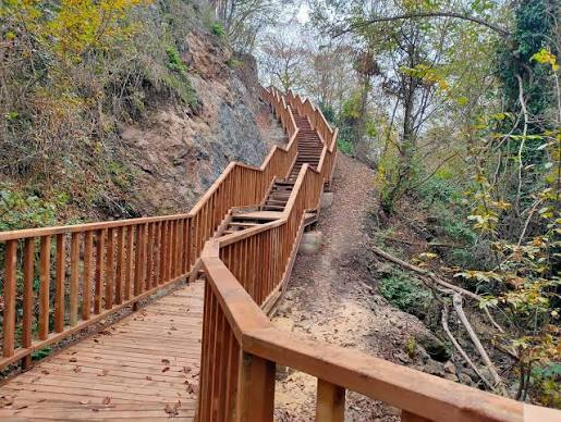 Aydınpınar Şelaleleri Tabiat Parkı · Merkez · Düzce · Türkiye · fotoğraf 20