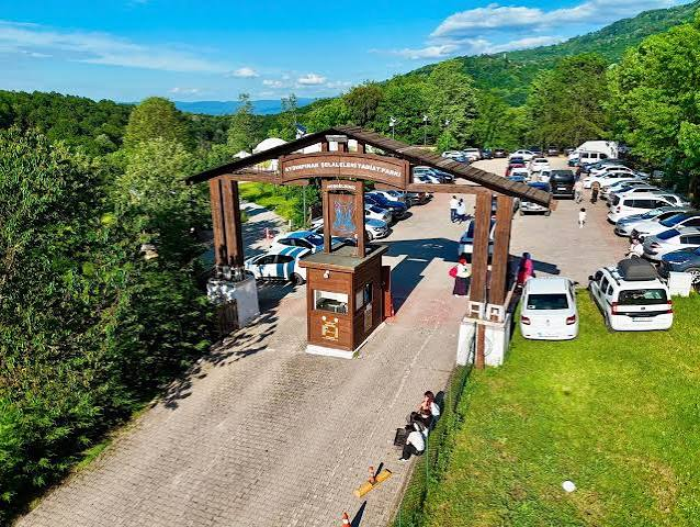 Aydınpınar Şelaleleri Tabiat Parkı · Merkez · Düzce · Türkiye · fotoğraf 22
