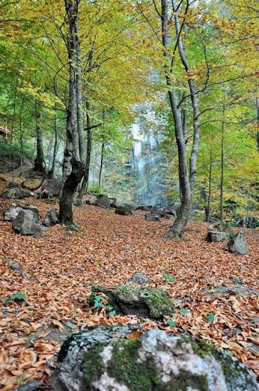 Saklıkent Şelalesi ve Kanyonu · Yığılca · Düzce · Türkiye · fotoğraf 4