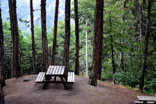 Soğuksu Milli Parkı · Kızılcahamam · Ankara · Türkiye · fotoğraf 5