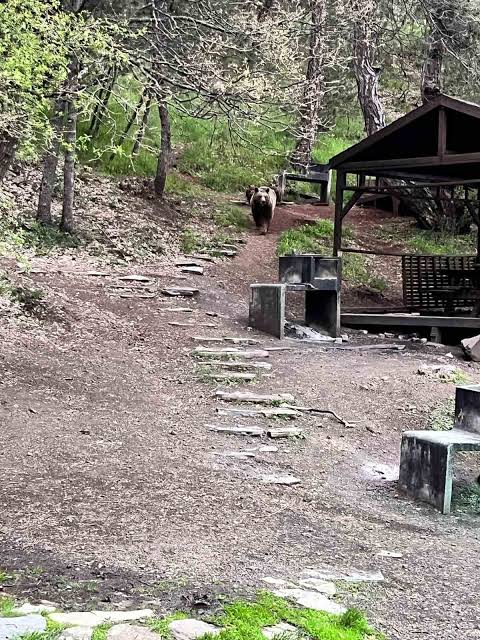 Soğuksu Milli Parkı · Kızılcahamam · Ankara · Türkiye · fotoğraf 12