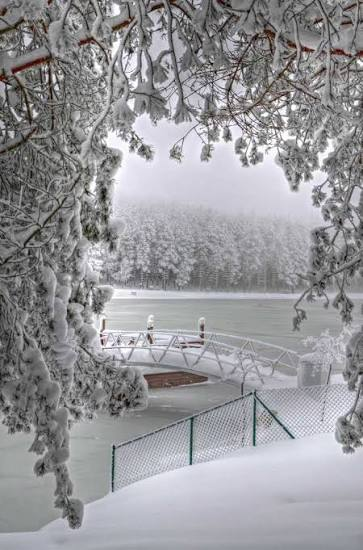 Topuk Yaylası ve Göleti · Kaynaşlı · Düzce · Türkiye · fotoğraf 7