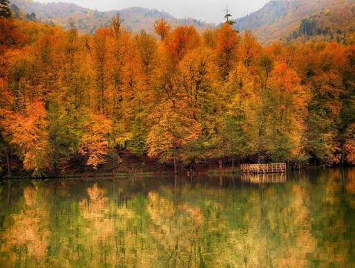 Yedigöller Milli Parkı · Merkez · Bolu · Türkiye · fotoğraf 2