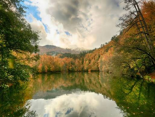 Yedigöller Milli Parkı · Merkez · Bolu · Türkiye · fotoğraf 3