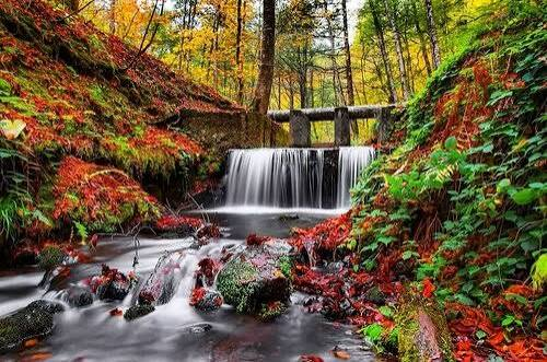 Yedigöller Milli Parkı · Merkez · Bolu · Türkiye · fotoğraf 4