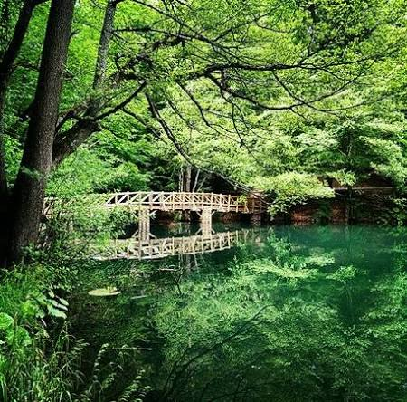 Yedigöller Milli Parkı · Merkez · Bolu · Türkiye · fotoğraf 5
