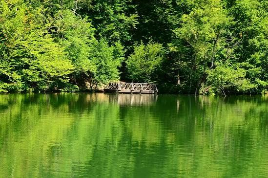 Yedigöller Milli Parkı · Merkez · Bolu · Türkiye · fotoğraf 6