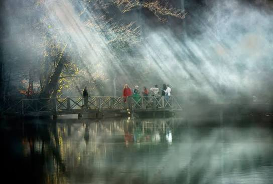 Yedigöller Milli Parkı · Merkez · Bolu · Türkiye · fotoğraf 7