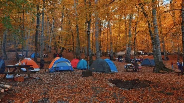 Yedigöller Milli Parkı · Merkez · Bolu · Türkiye · fotoğraf 8