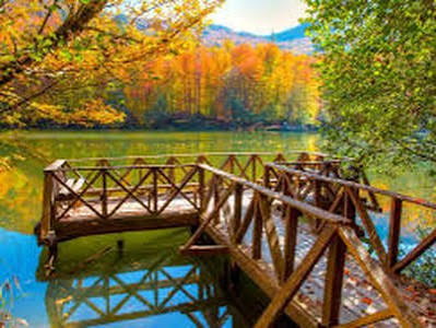Yedigöller Milli Parkı · Merkez · Bolu · Türkiye · fotoğraf 10