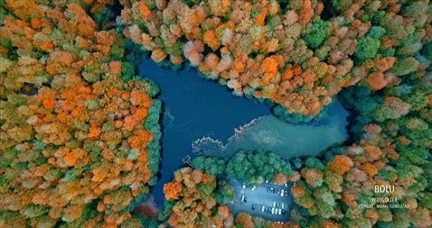Yedigöller Milli Parkı · Merkez · Bolu · Türkiye · fotoğraf 12