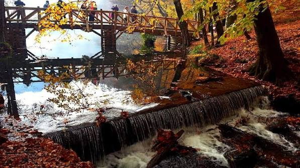 Yedigöller Milli Parkı · Merkez · Bolu · Türkiye · fotoğraf 15