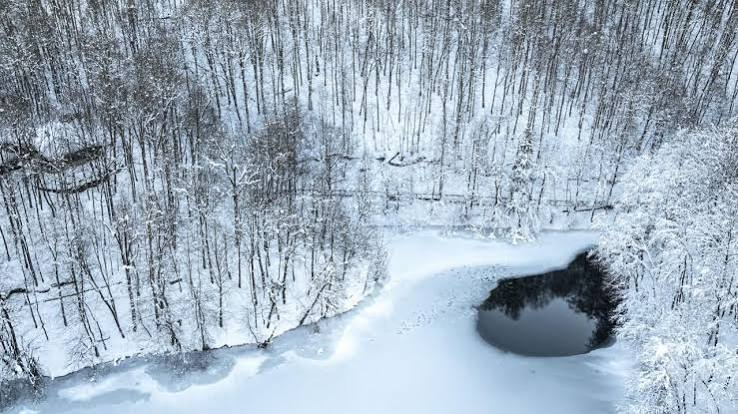 Yedigöller Milli Parkı · Merkez · Bolu · Türkiye · fotoğraf 16