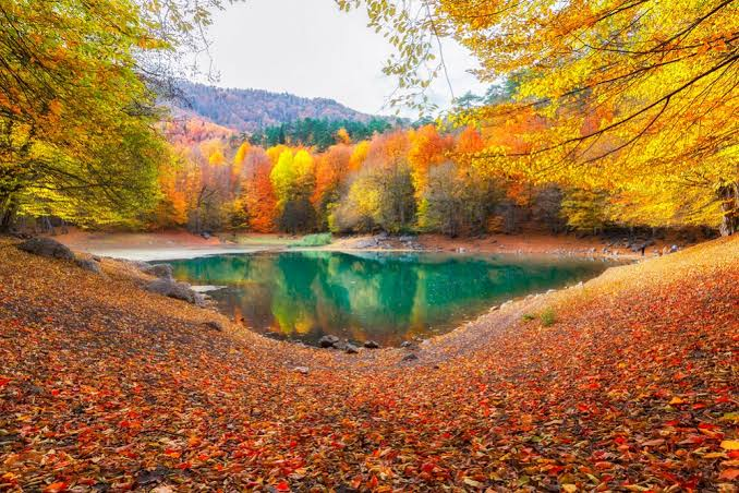 Yedigöller Milli Parkı · Merkez · Bolu · Türkiye · fotoğraf 18
